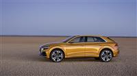 Audi Q8 Monthly Vehicle Sales