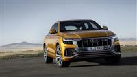 Audi Q8 Monthly Vehicle Sales