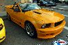 2006 Saleen Mustang image