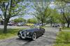 1949 Jaguar XK120 image