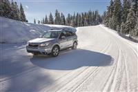 Subaru Forester Monthly Vehicle Sales